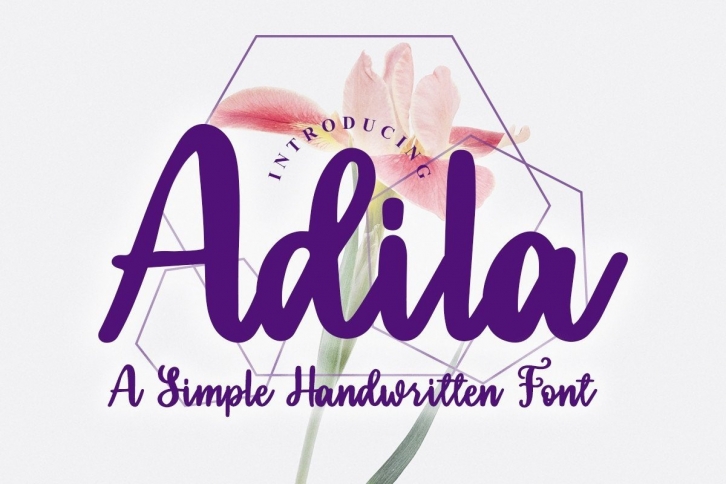 Adila Font Download