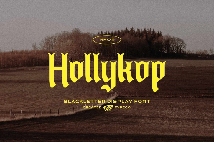 Hollykop Font Download