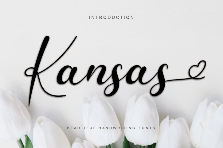 Kansas Font Download