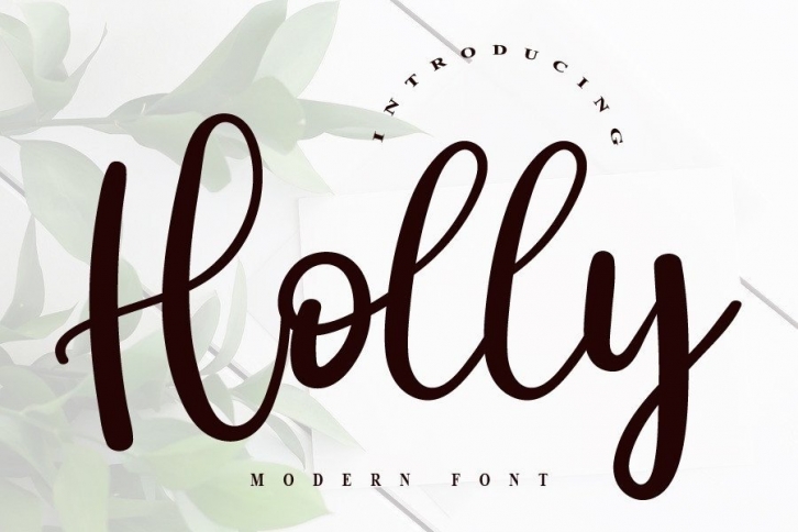 Holly Font Download