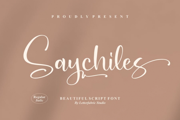 Saychiles Script Font Font Download
