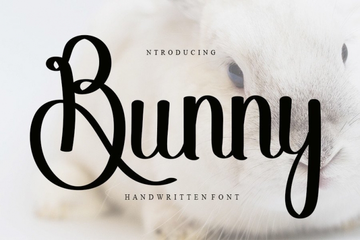 Bunny Font Download
