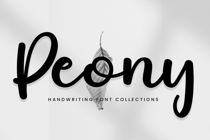 Peony Font Download