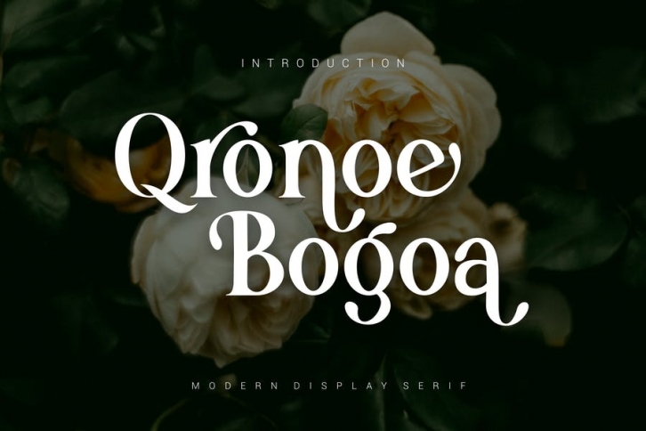 Qronoe Bogoa Font Font Download