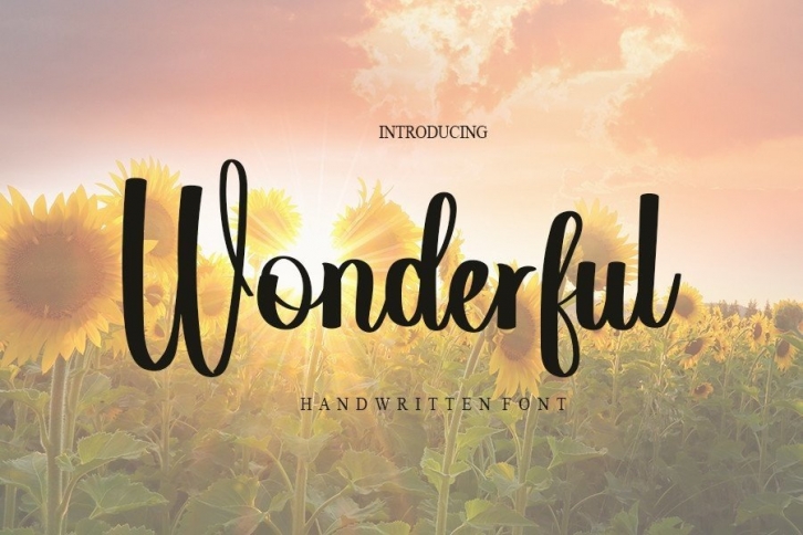 Wonderful Font Download