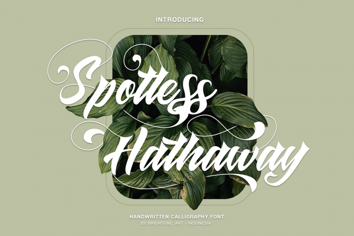Spotless Hathaway Font Download