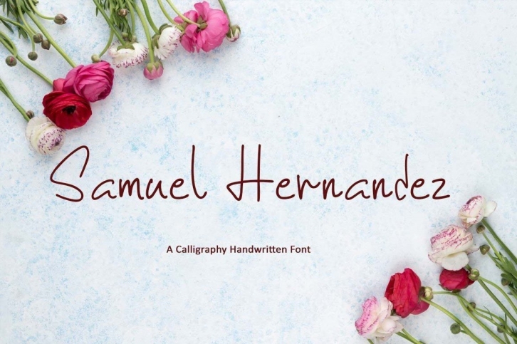 Samuel Hernandez Font Download