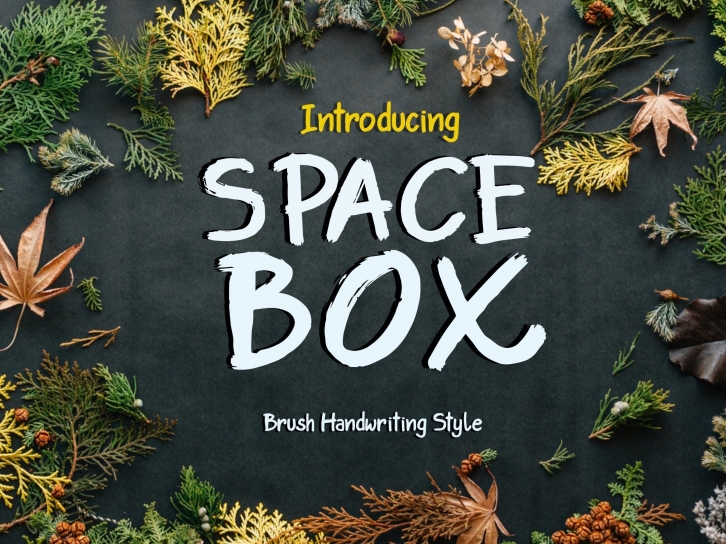 Space Box Font Download