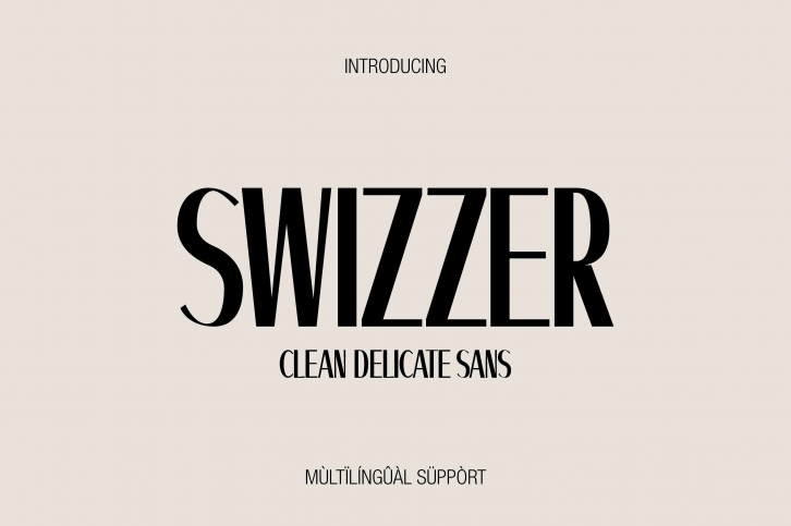 Swizzer Font Download