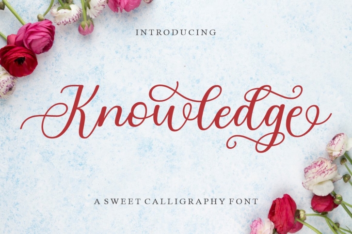 Knowledge Font Download