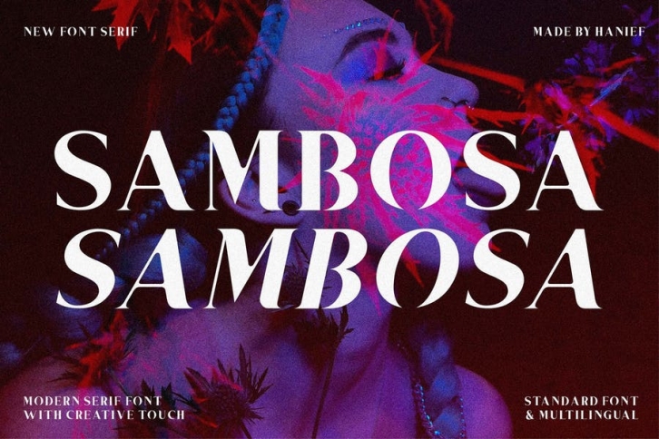 Sambosa - Modern Serif Font Font Download