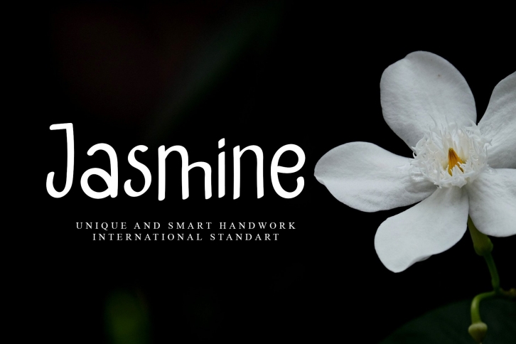 Jasmine Reguler Font Download
