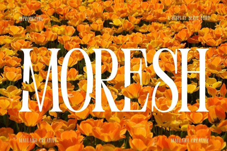 Moresh Serif Display Font Download