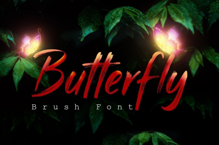 Butterfly Font Download
