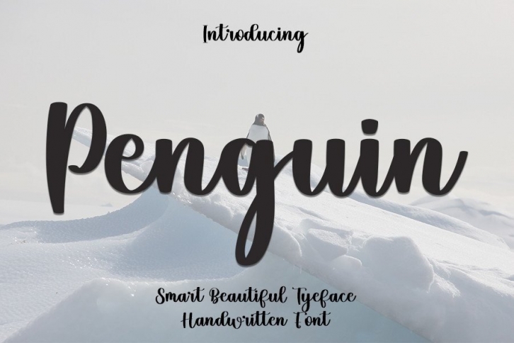 Penguin Font Download