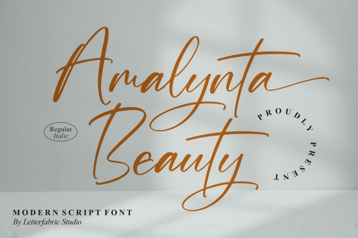 Amalynta Modern Script Font Font Download