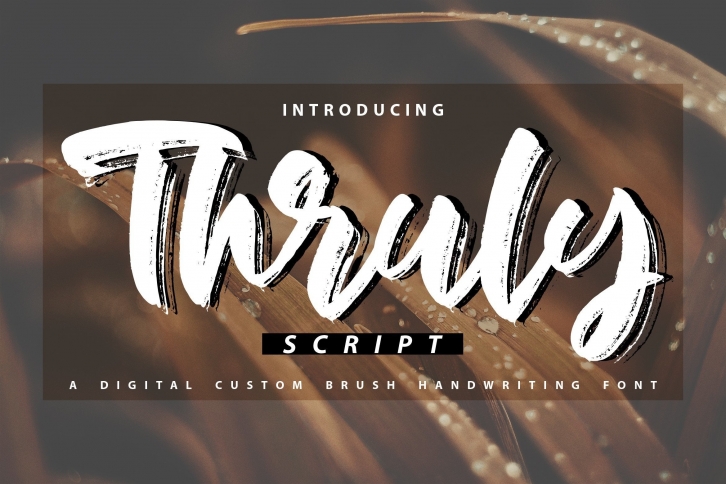 Thruly Font Download