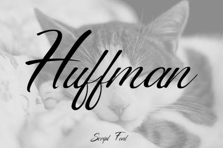 Huffman Script Font Font Download