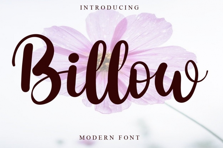 Billow Font Download