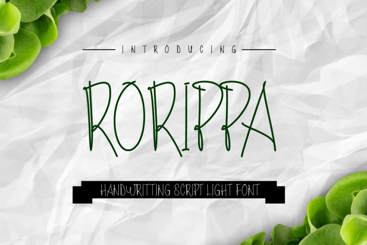 Rorippa Font Download