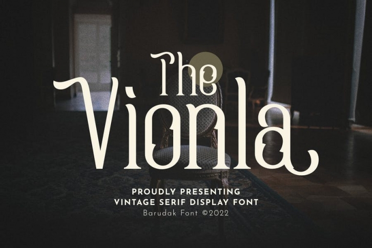 Vionla - Serif Condensed Display Font Font Download