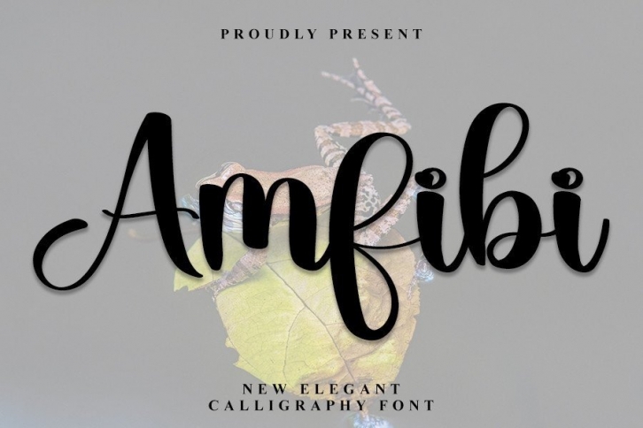 Amfibi Font Download