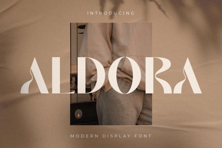 Aldora - Modern Display Font Font Download
