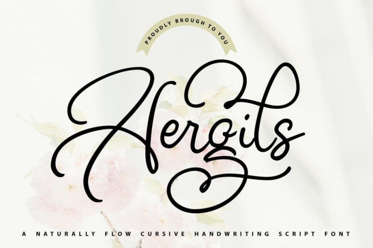 Aergils | Cursive Handwritting Script Font Font Download