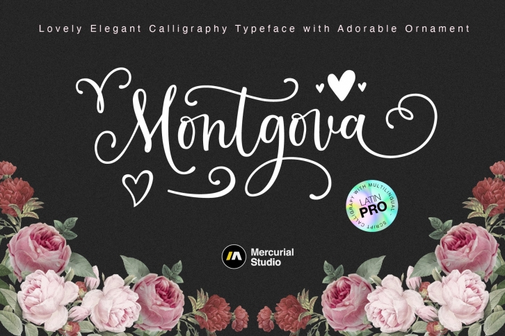 Montgova Font Download