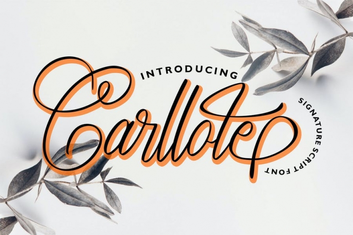 Carllote | Signature Script Font Font Download