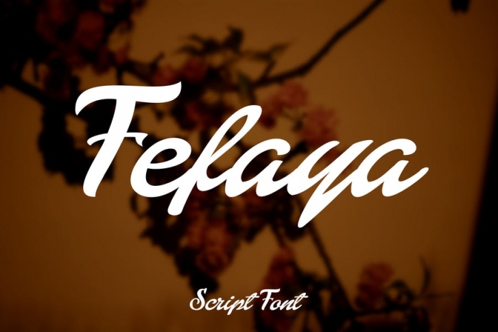 Fefaya Script Font Font Download