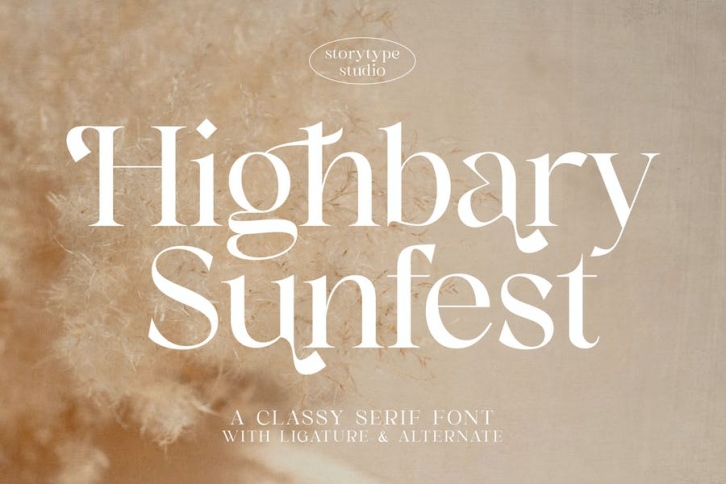 Highbary Sunfest Classy Serif Font Font Download