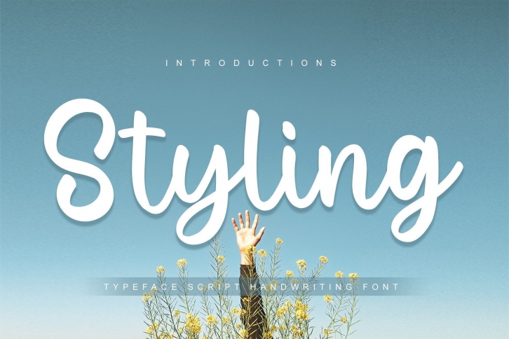 Styling Font Download