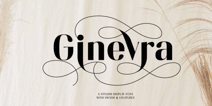 Ginevra Font Download