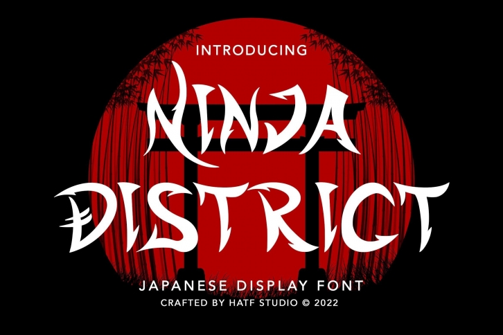 Ninja District Font Download