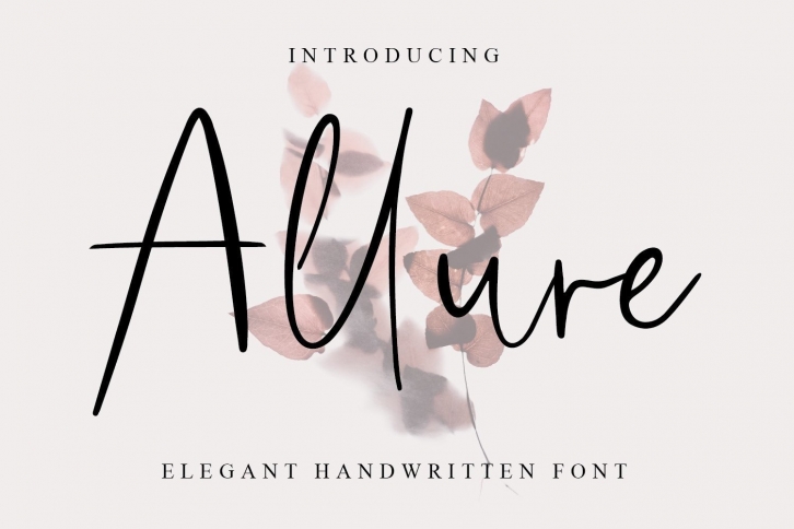 Allure Font Download