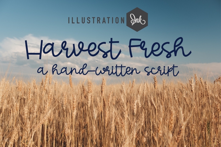 PN Harvest Fresh Font Download