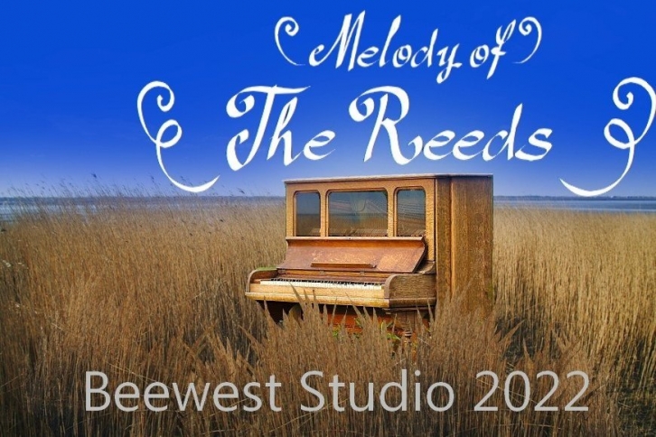Reeds Font Download