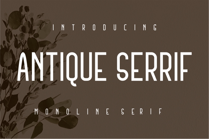 Antique Serrif Font Download