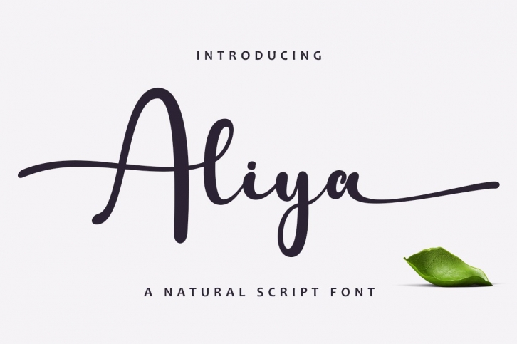 Aliya Script Font Download