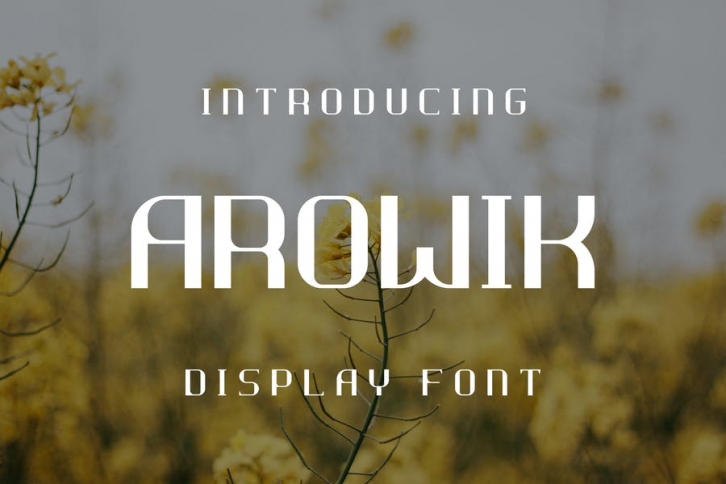 Arowik Font Font Download