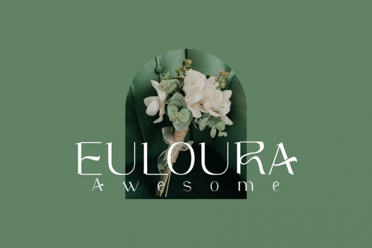 Euloura Awesome - Elegant Font Font Download