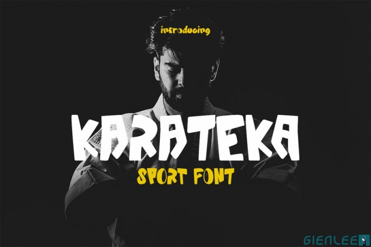 Karateka - Sport Font Font Download