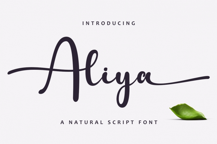 Aliya Font Download