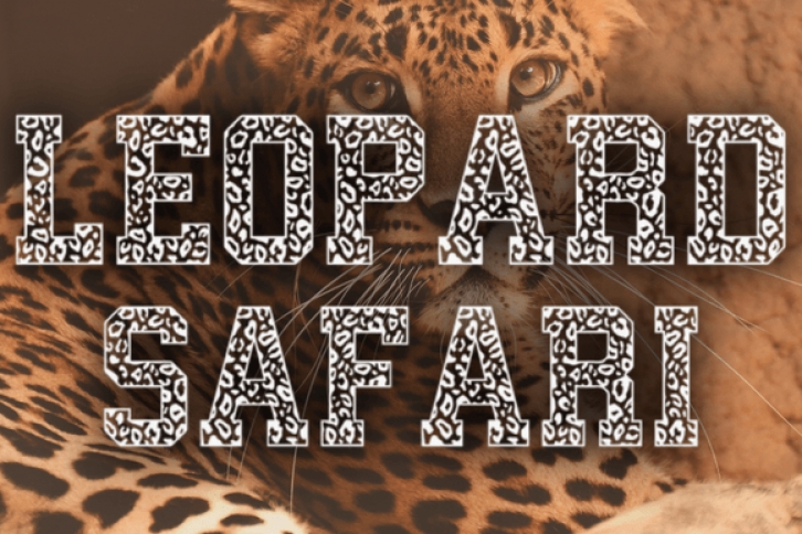 Leopard Safari Font Download