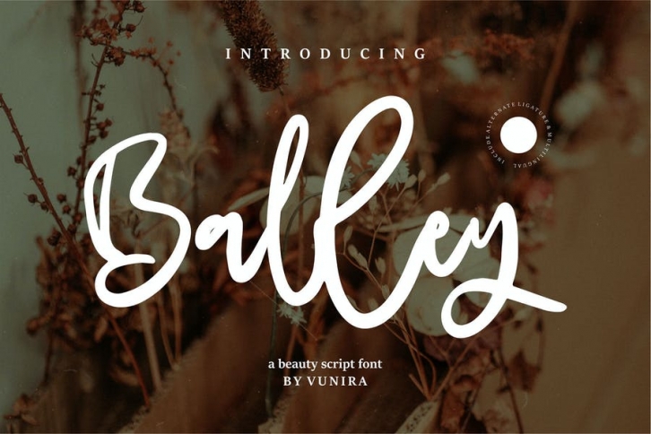 Balley | A beauty Script Font Font Download