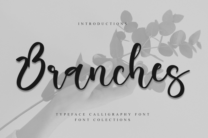Branches Font Download