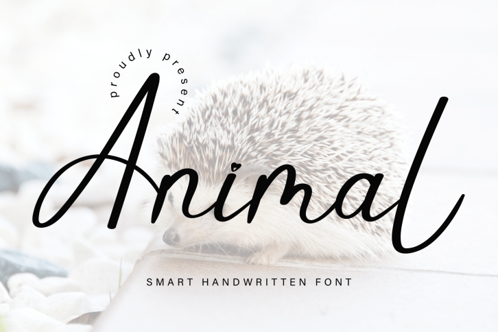 Animal Font Download