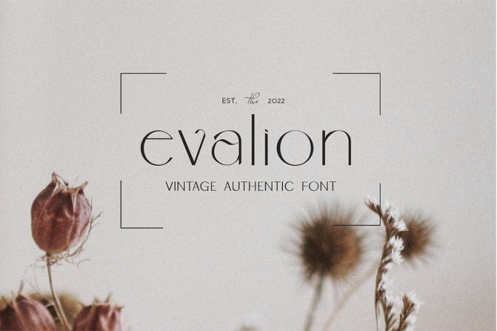Evalion - Vintage Font Font Download