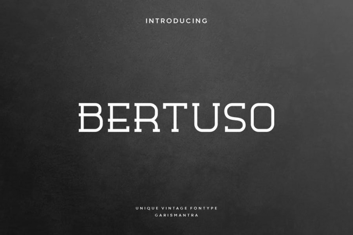 Bertuso Font Download